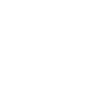 desenvolvimento